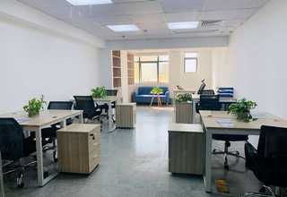 无动物源成分PEI转染试剂生产商